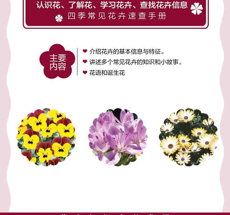 1649166951717071.jpg