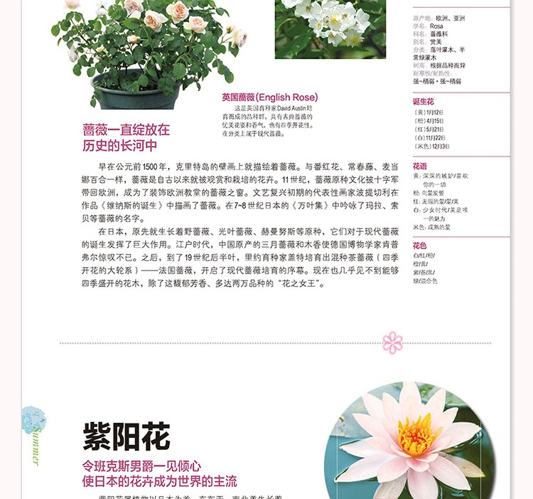 1649166953474890.jpg
