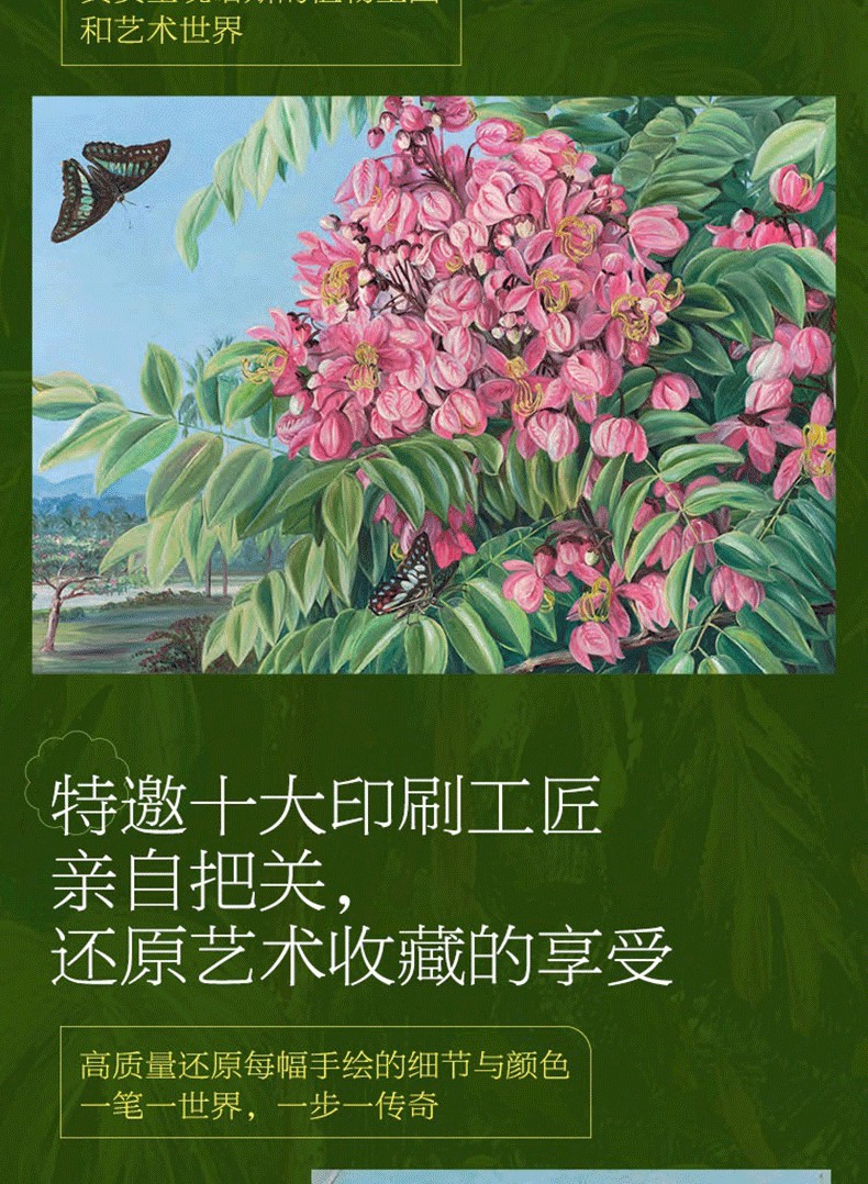 1741164232963166.jpg