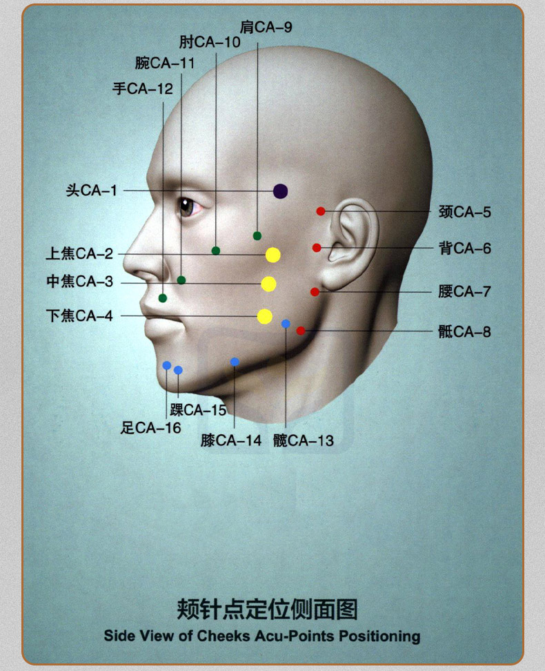 1743833105850651.jpg