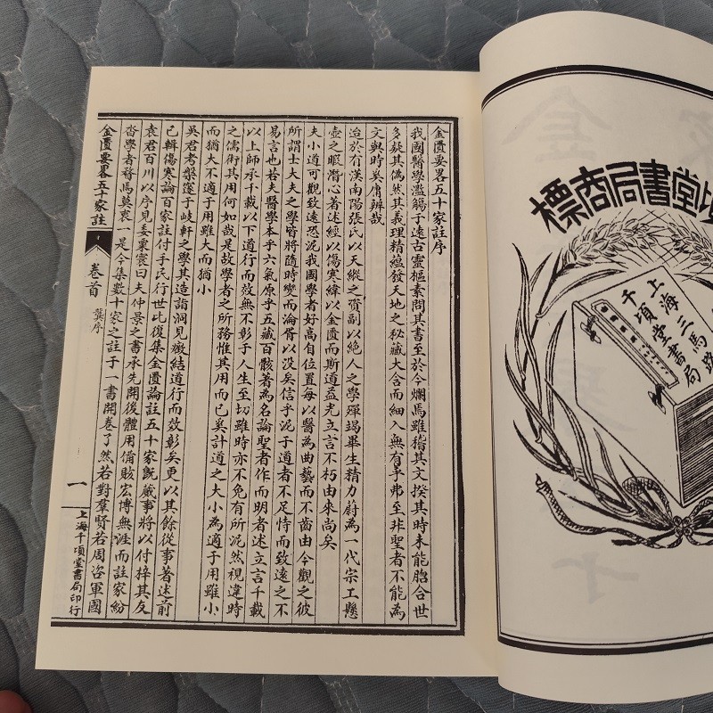 1756267347231398.jpg